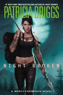 Cover of Night Broken