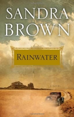 Cover of Rainwater